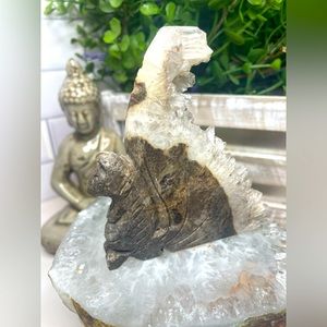 Quartz Crystal Cluster Squirrel 🐿 Carving